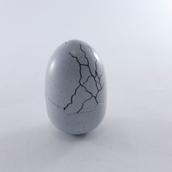 Playmobil 28794 Playmobil Dinosaur egg