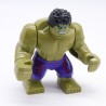 Lego LEG0638 SH173 Figurine Super Heroes Hulk 76031 76041